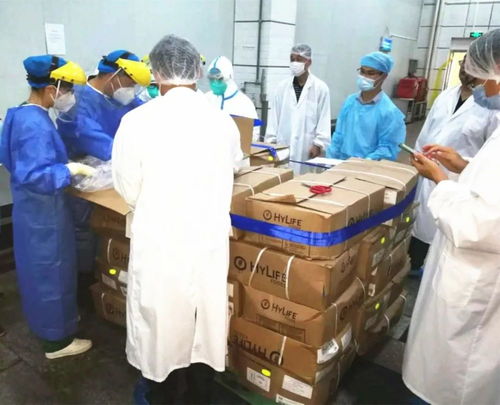 漳州市市场监管局开展进口冷链食品生产加工企业指导检查